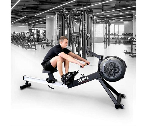 Гребной тренажер Xebex AR-3GL