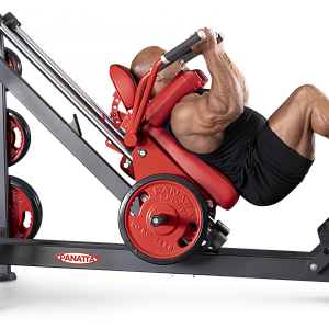 Купить Нагружаемый дисками тренажер Panatta FreeWeight Special 1FW087 в Москве