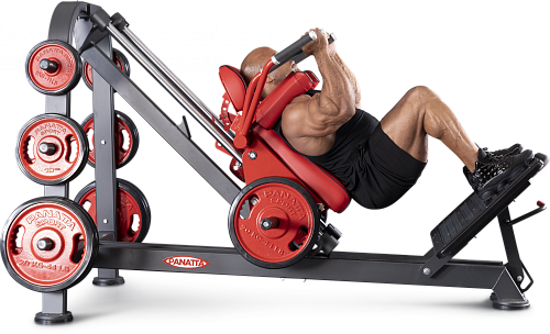 Нагружаемый дисками тренажер Panatta FreeWeight Special 1FW087