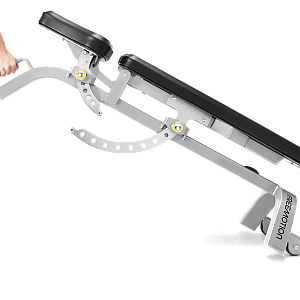 Купить Freemotion Fitness Epic EF203 в Москве