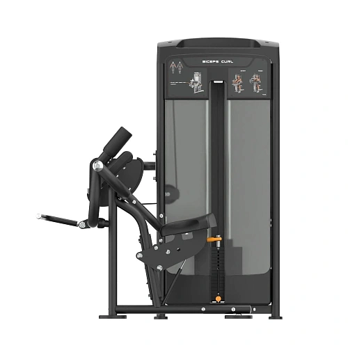 Бицепс (сгибание) Smith Fitness Excellence RE8006