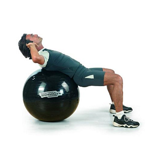 Купить Technogym Мяч Wellness  в Москве