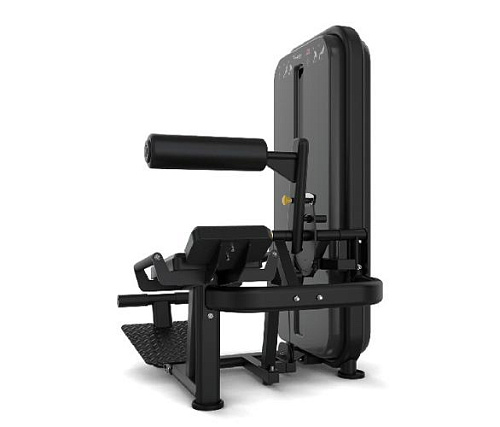 Скручивание / Разгибание спины Vision Fitness
