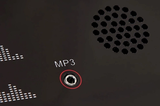 Беговая дорожка Titanium Physiotech TDA фото13