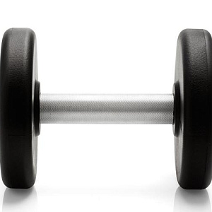 Купить Technogym Гантели полиуретановые в Москве