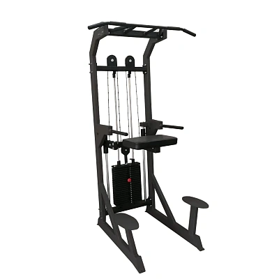 Гравитрон профессиональный BRONZE GYM PARTNER ML-701