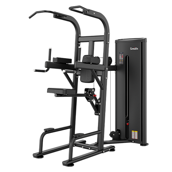 Силовой тренажер Smith Fitness Excellence DA008 Подтягивание/отжимание с противовесом