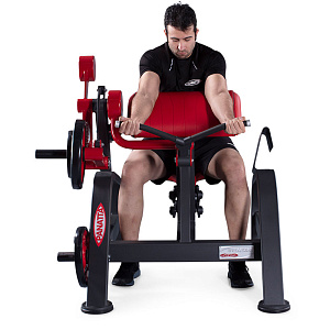 Купить Нагружаемый дисками тренажер Panatta FreeWeight Special 1FW151 в Москве