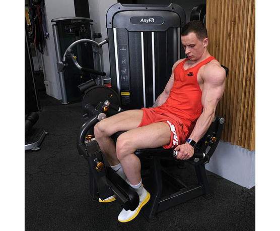 Разгибание ног Anyfit PE201-123 фото4