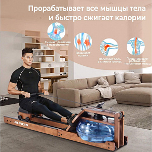 Купить Гребной тренажер DFC Runow Brown Wood в Москве