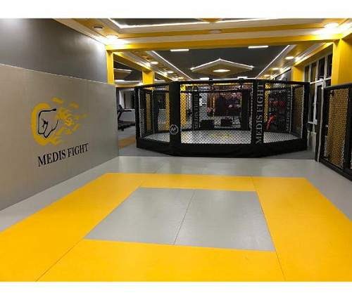 Октагон Targex на помосте 0,3 м 800х800х30