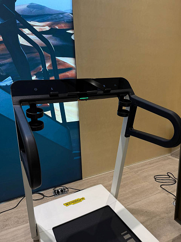 Беговая дорожка Technogym Myrun Dior
