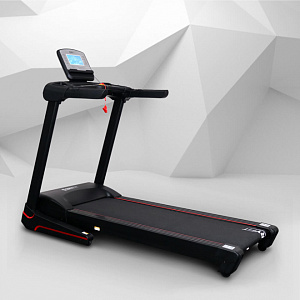 Купить Беговая дорожка Everyfit 74610B в Москве