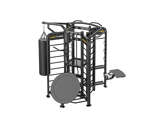 Купить Функциональная станция Hasttings Digger EX013G в Москве