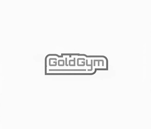 Купить Сани для кросфита BRONZE GYM PARTNER FL-12 в Москве