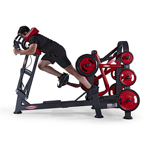 Купить Нагружаемый дисками тренажер Panatta FreeWeight Special 1FW098 в Москве