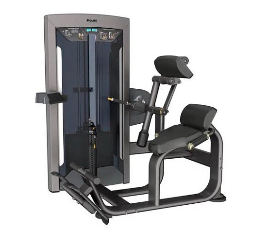 Разгибание спины Aerofit Impulse FE9732