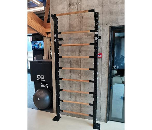 Купить Шведская стенка Targex Тренировочная станция WALLBAR в Москве