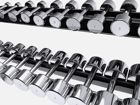 Набор хромированных гантелей Technogym KAK1 фото1