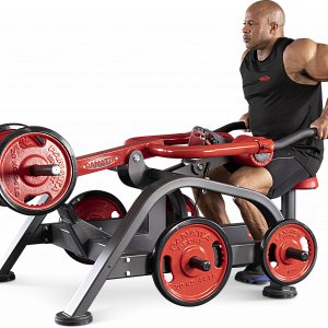 Купить Нагружаемый дисками тренажер Panatta FreeWeight Special 1FW140 в Москве