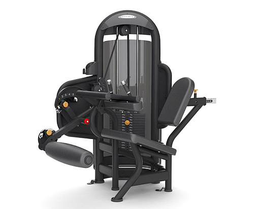 Купить Сгибание ног сидя Matrix Fitness Aura G3-S72_7 в Москве