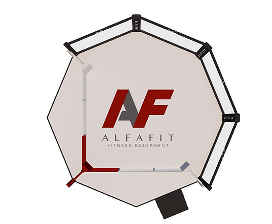 Октагон-трансформер AlfaFit на помосте высотой 1 м фото1