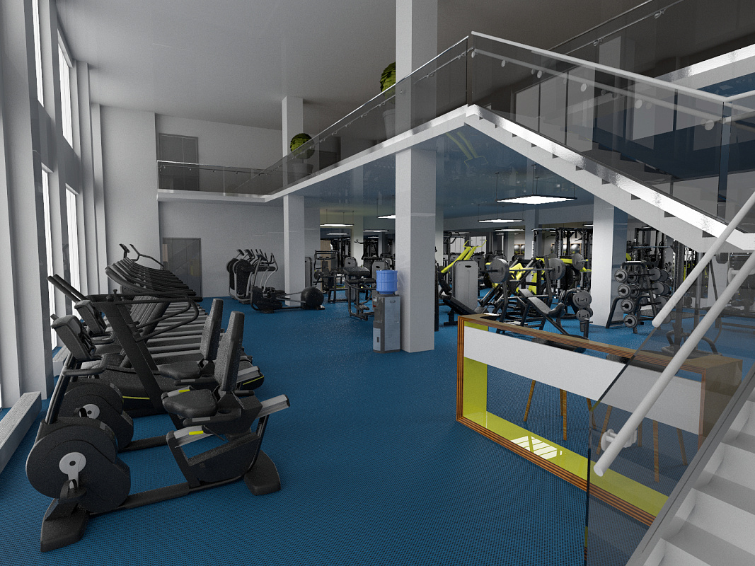 Коммерческий тренажерный зал