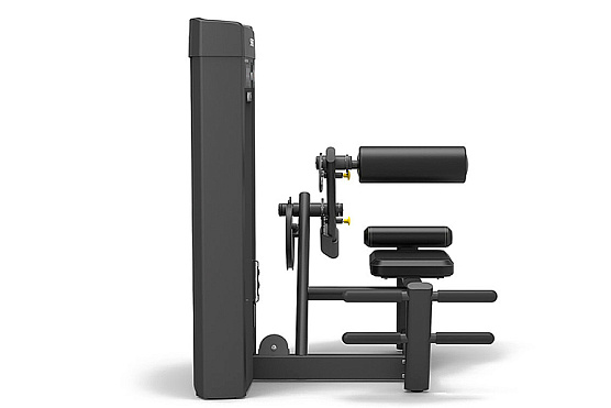 Разгибание спины Spirit Fitness SP-4310 фото2