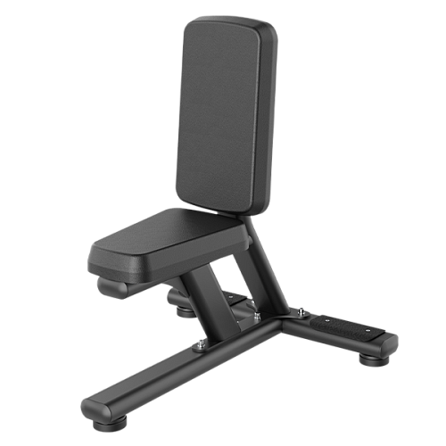 Купить Универсальная скамья-стул Smith Fitness Excellence RE6024 в Москве