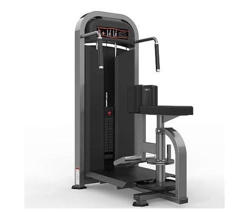 Купить Торс-машина Realleader M2-1021 (косые мышцы живота) в Москве
