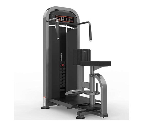 Торс-машина Realleader M2-1021 (косые мышцы живота)