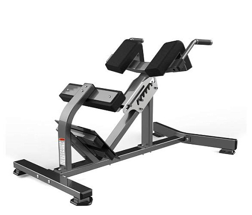 Купить Гиперэкстензия Realleader FW-2006 в Москве