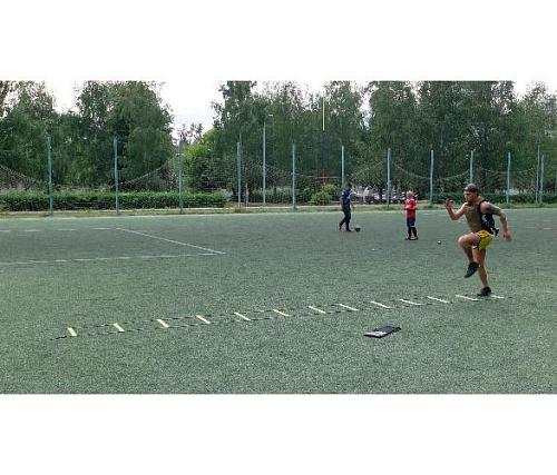 Лестница координационная Original FitTools 6 м 13 секций