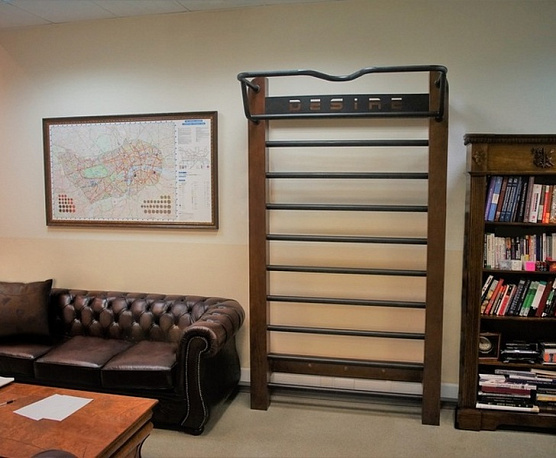 Шведская стенка с удобным турником Desire Eco Base фото4