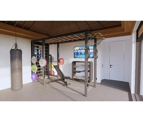 Домашняя силовая мультистанция с рукоходом Desire Power Sky