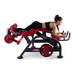 Купить Нагружаемый дисками тренажер Panatta FreeWeight Special 1FW182 в Москве