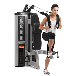 Купить Грузоблочный тренажер Freemotion Fitness Genesis™ DS GD501 Пресс и бицепс в Москве