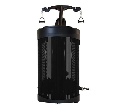 Бицепс и трицепс Inspire DMBT1